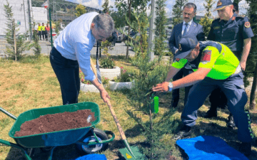 Sahipsiz Hayvan Barınakları