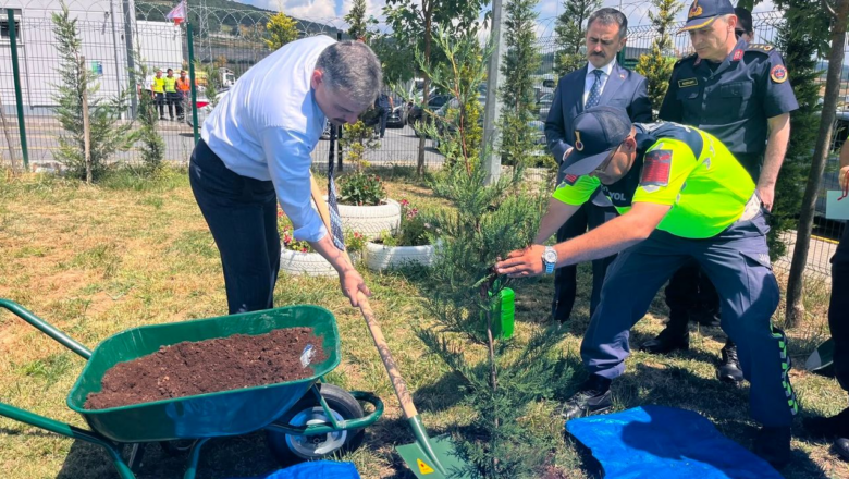 Sahipsiz Hayvan Barınakları
