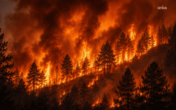 İspanya’da 500