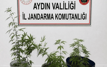 Uyuşturucu Operasyonu