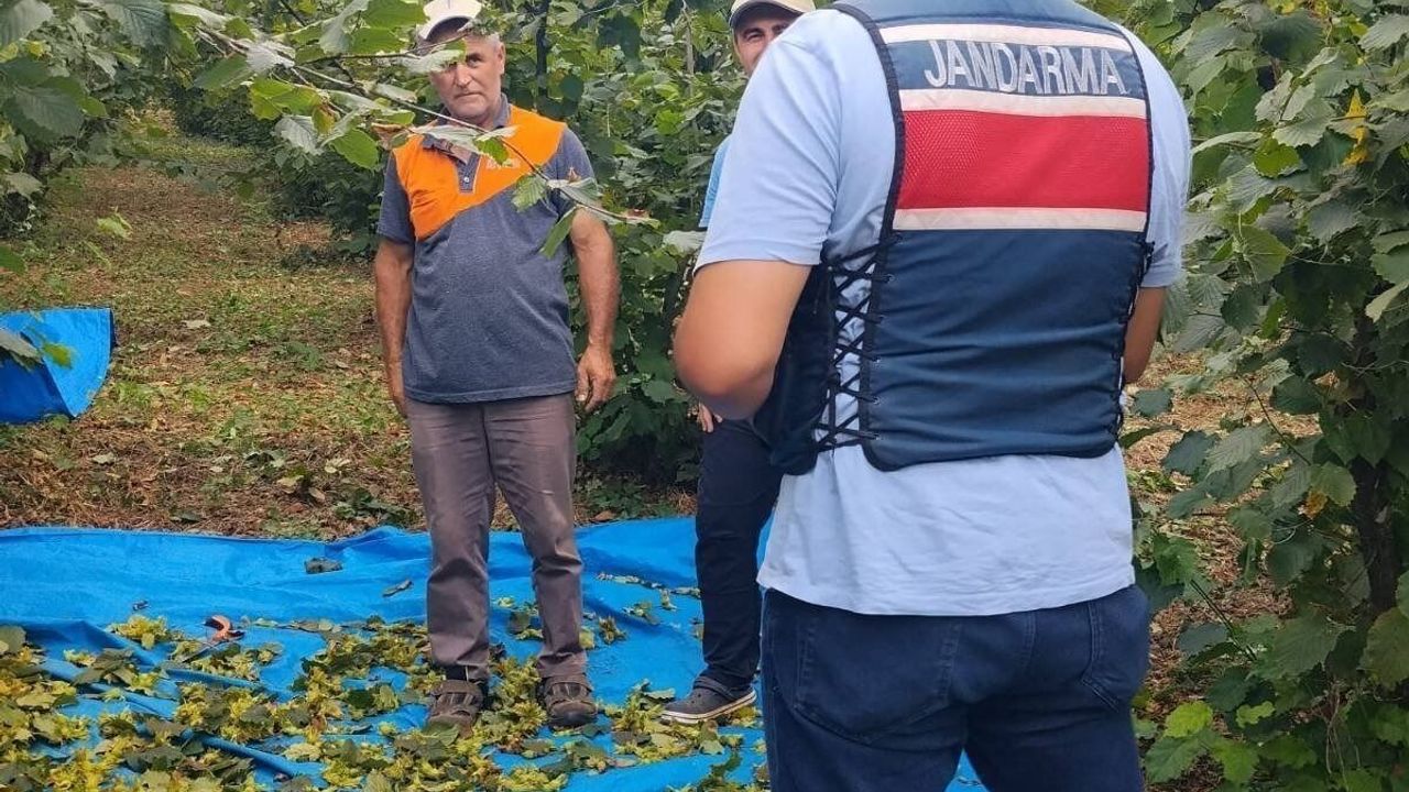 Fındık Bahçesi Güvenliği