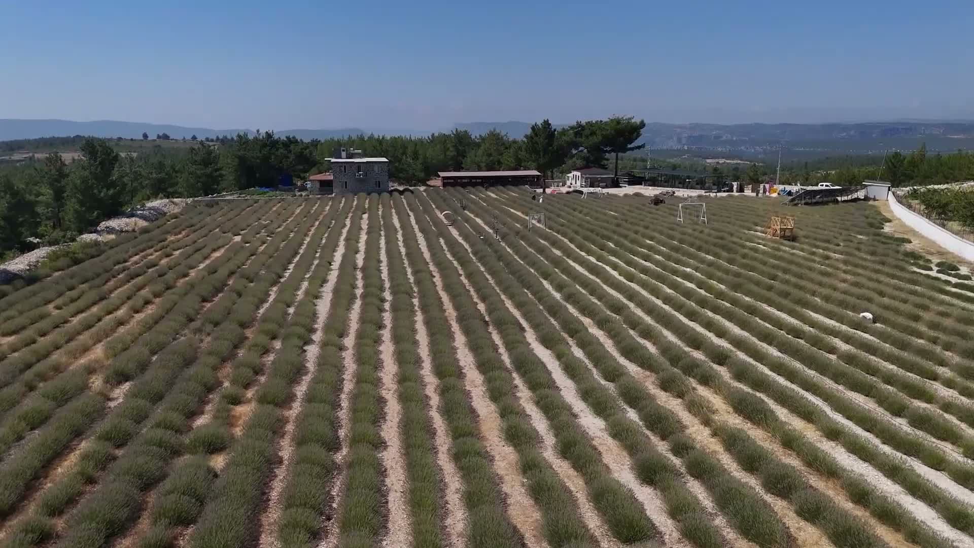 kadın girişimciler