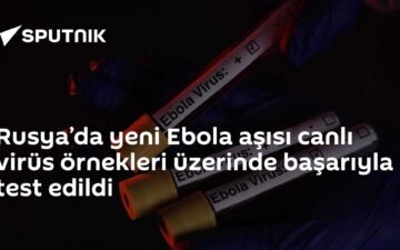 Ebola aşı testi