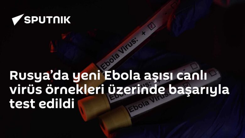 Ebola aşı testi