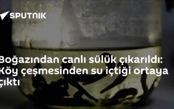 canlı sülük