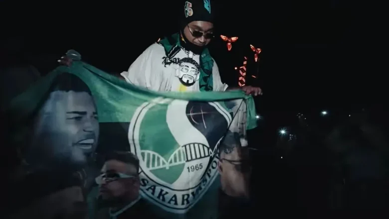 Sakaryaspor bayrağı
