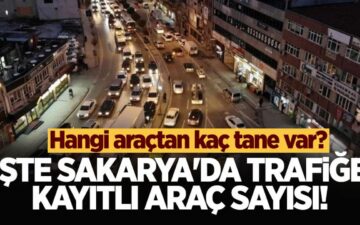 Sakarya araç sayısı