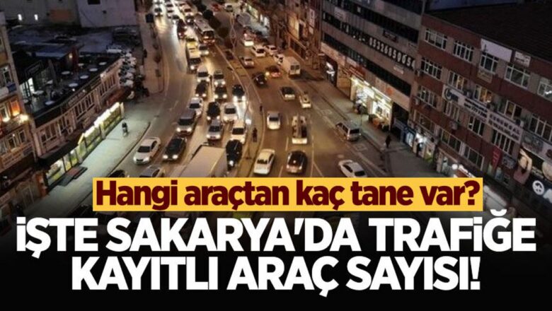 Sakarya araç sayısı